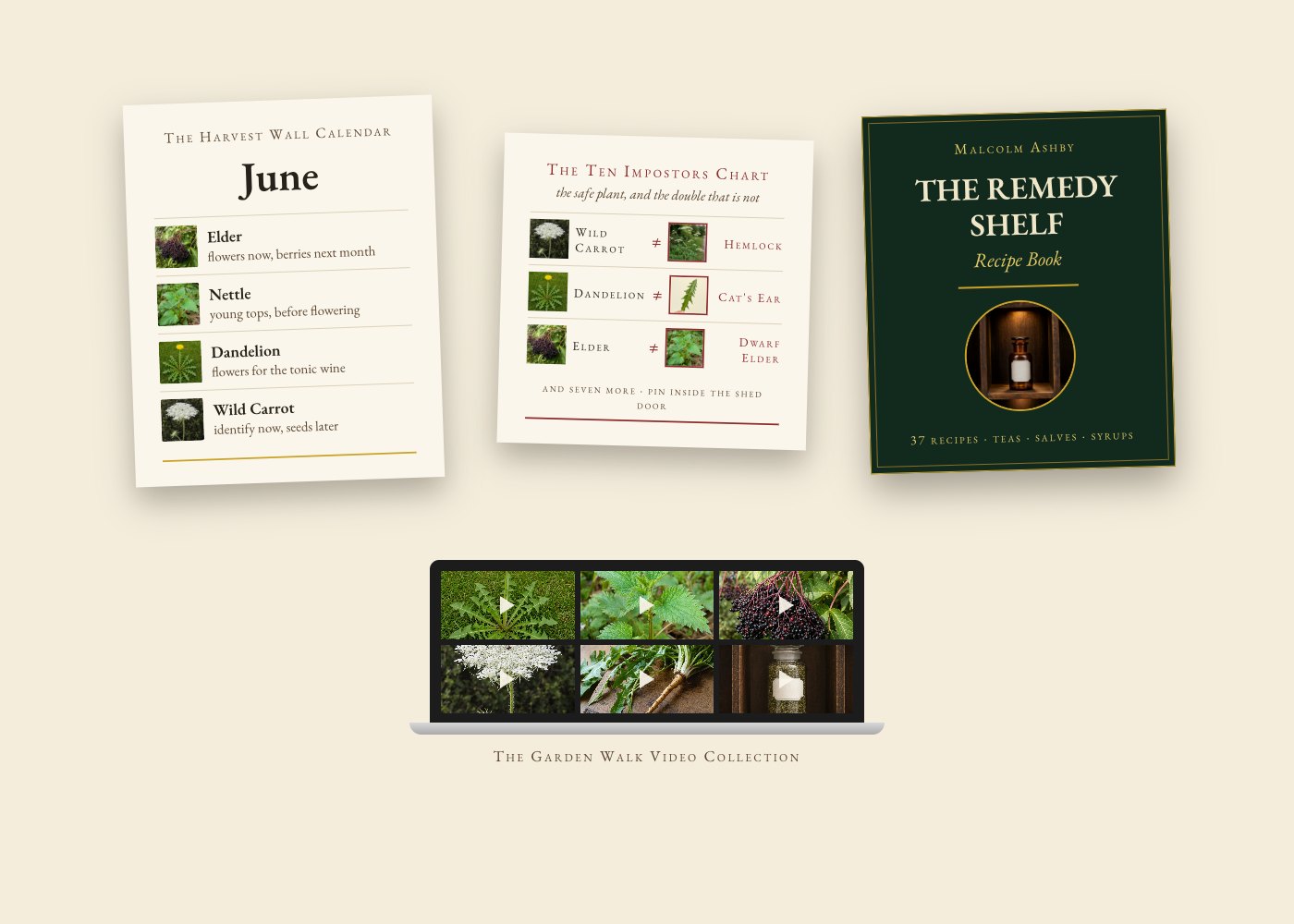 All four free bonuses: the Harvest Wall Calendar, the Ten Impostors Chart, the Remedy Shelf Recipe Book, and the Garden Walk Video Collection