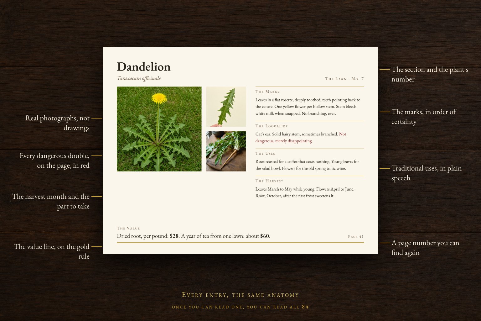 The anatomy of an entry page, labelled